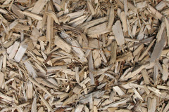 biomass boilers Tresarrett